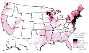 Diagnosis Of Lyme Disease American Family Physician