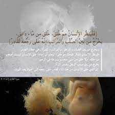 فلينظر الانسان مما خلق يا لها من رحلة رحلة تبدأ من ظهر الأب إلى بطن الأم ومن بطن الأم إلى ظهر الأرض ومن ظهر الأرض إ poster movie posters movies