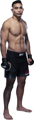 El excampeón fue un rodillo y mostró su mejor versión. Ufc Fight Night Holloway Vs Kattar Ufc