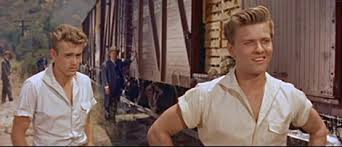 The miniseries takes us back to the beginning, of the rivalry between brothers charles (bruce boxleitner). John Steinbeck S East Of Eden On Big And Little Screens Japaneseculturereflectionsblog