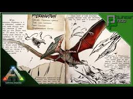 The pteranodon saddle is unlocked at level 38, and costs 15 engram points. Ark Pteranodon Saddle How To Discuss