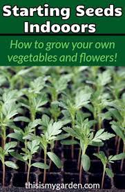 How To Start Vegetable Flower Seeds Indoors Starting Seeds Indoors Seedlings Indoors Starting Flower Seedlings