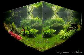 Aquascape is an art that regulates plants, water, stone, coral, wood and so on. Huge Aquascape Tutorial Step By Step Spontaneity By James Findley For The Green Machine Aquascape Art The Green Machine