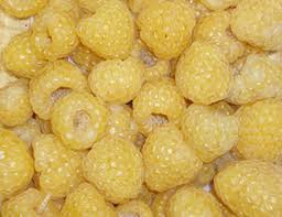 Image result for Rubus iringanus