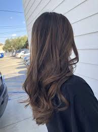 49 Beautiful Light Brown Hair Color To Try For A New Look Hair Color Light Brown Hair Styles Brunette Hair Color