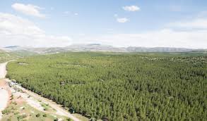 Denizli haber sayfamızda denizli haberleri okuyabilir, denizli son dakika haberleri ve güncel denizli gelişmelerini görebilirsiniz. Glggc Ekkpnihm