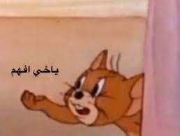 توم وجيري funny study quotes funny study funny memes