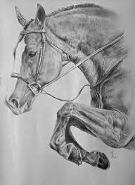 Here are some horses and a couple odds and ends i have been drawing for a project i'm working on with some friends. Horse Pencil Drawing Poster By Arion Megid Khedhiry Horse Drawings Horse Pencil Drawing Horse Art Drawing