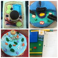 Plant cell model made of legos (by harris brickman. Marshallsprings On Twitter Gr8 Cells And Systems In 3d Representing Plant Or Animal Cells And Their Organelles 6yycbe