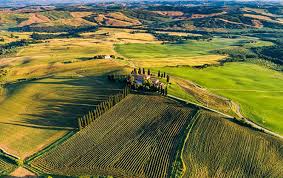 In insurance, the insurance policy is a contract (generally a standard form contract) between the insurer and the policyholder, which determines the claims which the insurer is legally required to pay. Life Assurance Archives Onelife