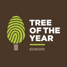 Транскрипция и произношение слова tree в британском и американском вариантах. European Tree Of The Year Home Facebook