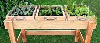 16 Diy Salad Table Ideas To Get Fresh Salad With Little Garden Space In 2020 Small Vegetable Gardens Gardening For Beginners Vegetable Garden For Beginners