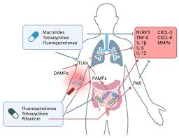 Image result for Pleiotaxis