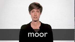 Moors is an english language word that is well described on this page with all the important details i.e moors meaning, moors word synonyms, and its similar words. Moor Definition And Meaning Collins English Dictionary