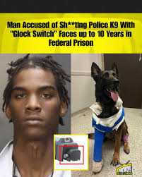 Officers, including K9 Officer Andor and his handler, located the suspect, Darrin  King, 18. When Andor approached King's hiding spot, King sh*t the K9 with a  “Glock switch”, according to police. Andor