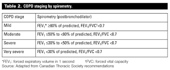 Image result for COPD Staging