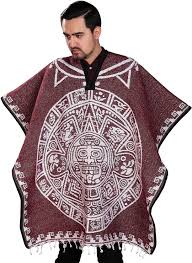 Image result for Pancovia holtzii