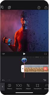 Videoleap Pro Apk 1 0 Android App Download