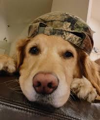 Does any remember this s10 Sa