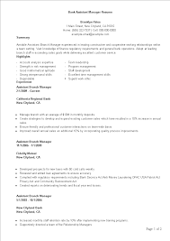 Bank Assistant Manager Resume Template Templates At Allbusinesstemplates Com