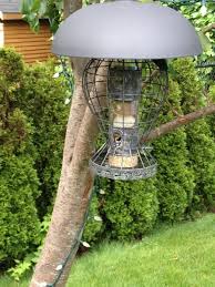 Squirrel Proof Bird Feeder Diy Squirrel Proof Bird Feeders Squirrel Resistant Bird Feeders Bird Feeders