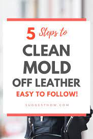 How To Clean Mold Off Leather 5 Steps To Follow Cleaning Mold Easy Cleaning Hacks Household Cleaning Tips