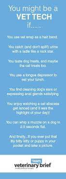 After the group vet appointment during which lyle scratched the vet, the vet tech, and some poor woman minding her own business in the waiting room we went back to. Happy Vet Tech Week Vet Tech Quotes Vet Tech Humor Veterinary Technician Quotes