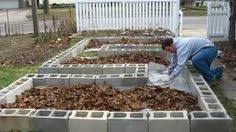 Maybe you would like to learn more about one of these? 34 Concrete Block Raised Bed Gardening Ideas Cinder Block Garden Outdoor Gardens Garden Beds
