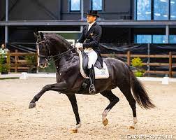Edward gal and total us have set their individual medal and dutch team campaign off to a strong start to qualify for the individual final on the opening day of grand prix dressage at the tokyo olympics. Crowd Magnets Gal And Dujardin Debut Total U S And Gio At New Level