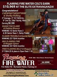 Shooting Stars -- Bradi Good & Famous Bullets Top Elite Futurity for $15,848