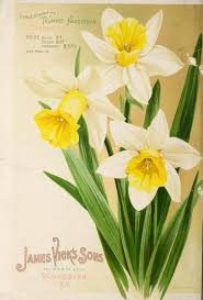 Pin By Profesyonel Mobile Legends On Kutular Flower Painting Flower Drawing Watercolor Flowers