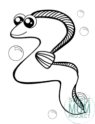 Vector illustration isolated on white. Free Printable Eel Coloring Page Simple Mom Project