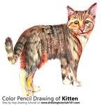 See more ideas about drawing tutorial, drawings, art tutorials. Cats Drawing Tutorials Step By Step Drawingtutorials101 Com