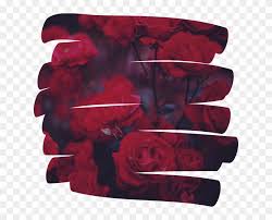 We did not find results for: Rose Flower Overlay Aesthetic Tumblr Red Aesthetic Tumblr Gif Png Overlays Clipart 797163 Pikpng