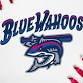 Summer @IBC: Blue Wahoos