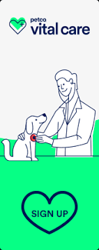 3,132,001 likes · 15,495 talking about this · 822,860 were here. Pet Adoption Dogs Cats Reptiles Birds Small Pets Petco