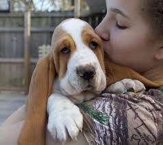 No One loves Me Because I'm not cute Dogs and Cats Lover- Forever Friends  👈👈👈