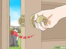 Submerge the cat in cool water in a shaded location. How To Calm A Cat In Heat 11 Steps With Pictures Wikihow