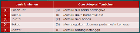 Check spelling or type a new query. Kaidah Penulisan Soal Menjodohkan Gurnulis