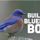 Blue Bird Box Workshop