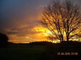 Maybe you would like to learn more about one of these? Gran Hostal El Chiscon Colmenar Viejo Espana Opiniones Comparacion De Precios Y Fotos Del Hotel Tripadvisor