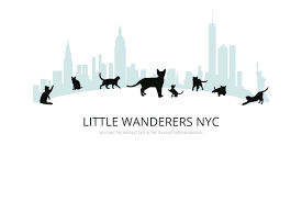 Pet store in brooklyn, connecticut. Little Wanderers Nyc At Pet Emporium Brooklyn Ny Animal League