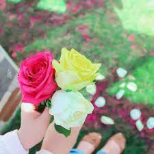 Check spelling or type a new query. Girl Dpz Flower Novocom Top