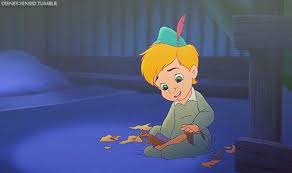 Pin By Alyssa On Return To Neverland Peter Pan Disney Disney Castle Walt Disney History