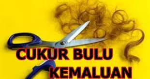 Dan ini disepakati oleh madzhab yang empat : Hukum Dan Tatacara Mencukur Bulu Kemaluan Menurut Islam Ini Jawapan Yang Perlu Anda Ketahui Web Ilmu Islam