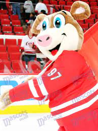 The carolina hurricanes' mascot is reminding the world that kylie jenner's daughter isn't the original stormy. Stormy Carolina Hurricanes Ice Hog Mascot Costume Animal