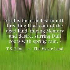 April is the cruelest month, breeding Lilacs out of the dead land, mixing  Memory and desire, stirring Dull roots with spring rain. Winter kept us  warm, covering Earth in forgetful snow, feeding