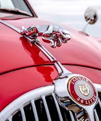 Classic Jaguar Hood Ornament Classic Cars Jaguar Hood Ornament Jaguar Car