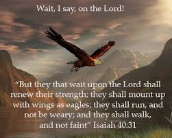 Image Result For Mount Up With Wings Like Eagles Isaiah 40 31 Isaiah Biblical Quotes