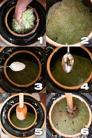 Homemade sauerkraut is easy to make. How To Make Sauerkraut In A Crock Masalaherb Com